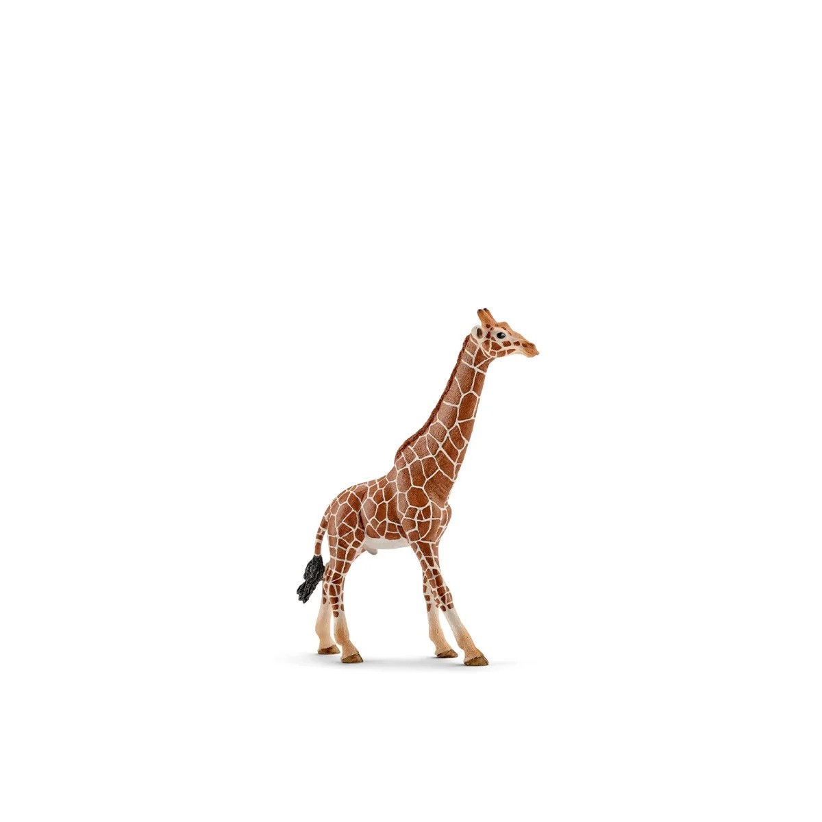 https://apiv1.biblusi.ge/storage/book/9BUVYNFChi5hF9HUQaTroXIXXryMkwVHjxarnmQV.jpg