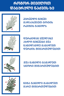 https://apiv1.biblusi.ge/storage/book/AFPKK7rW3wgw5xendqzjfdICSckSeQdbT6XAdhYE.png