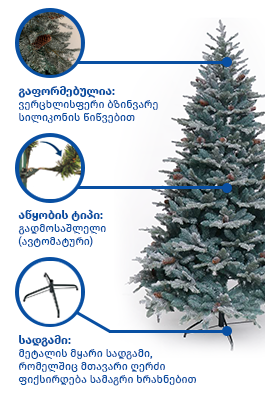 https://apiv1.biblusi.ge/storage/book/AVkb1hUncvD63xbFna1rAnVjf5vZ9fnEsMF4W1io.png