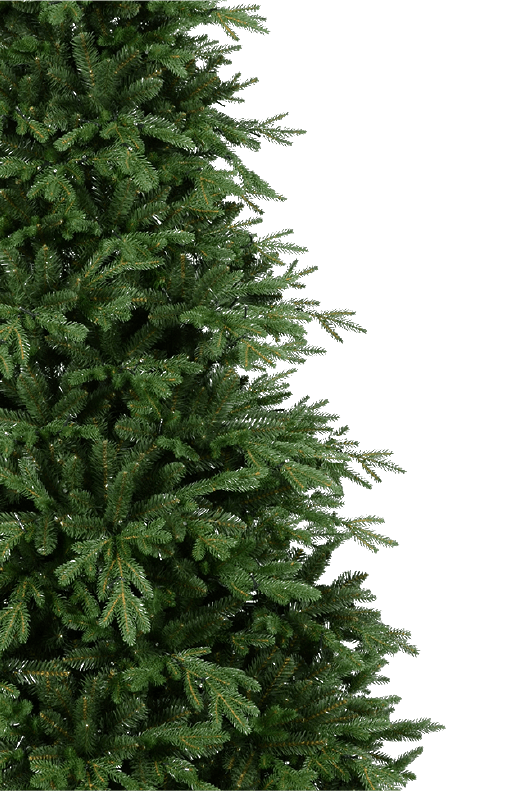 https://apiv1.biblusi.ge/storage/book/fUYkrxSMF7OOuIHTKisT0qezZjZo1JsKAkMpJC25.png