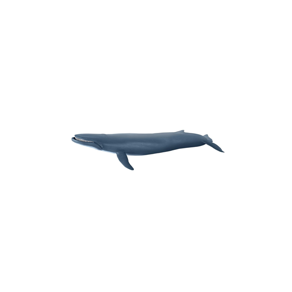 https://apiv1.biblusi.ge/storage/book/tkBj1PU3H2v6wcLWazhy0hwE9zTinl0qMr9a6mCP.png